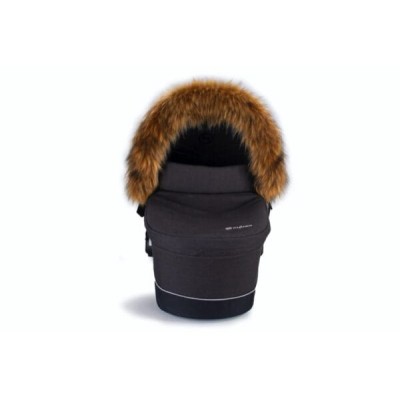 Winter FOXY 2